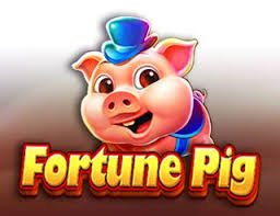 Slot game categories overview on bonus casino platform for Philippines players
